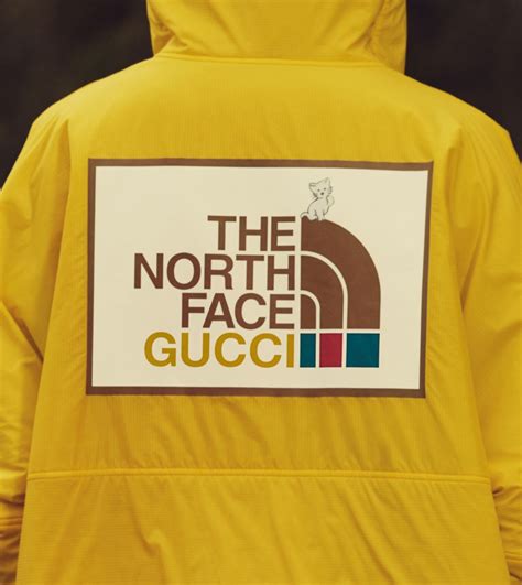 north fac gucci|north face gucci shop online.